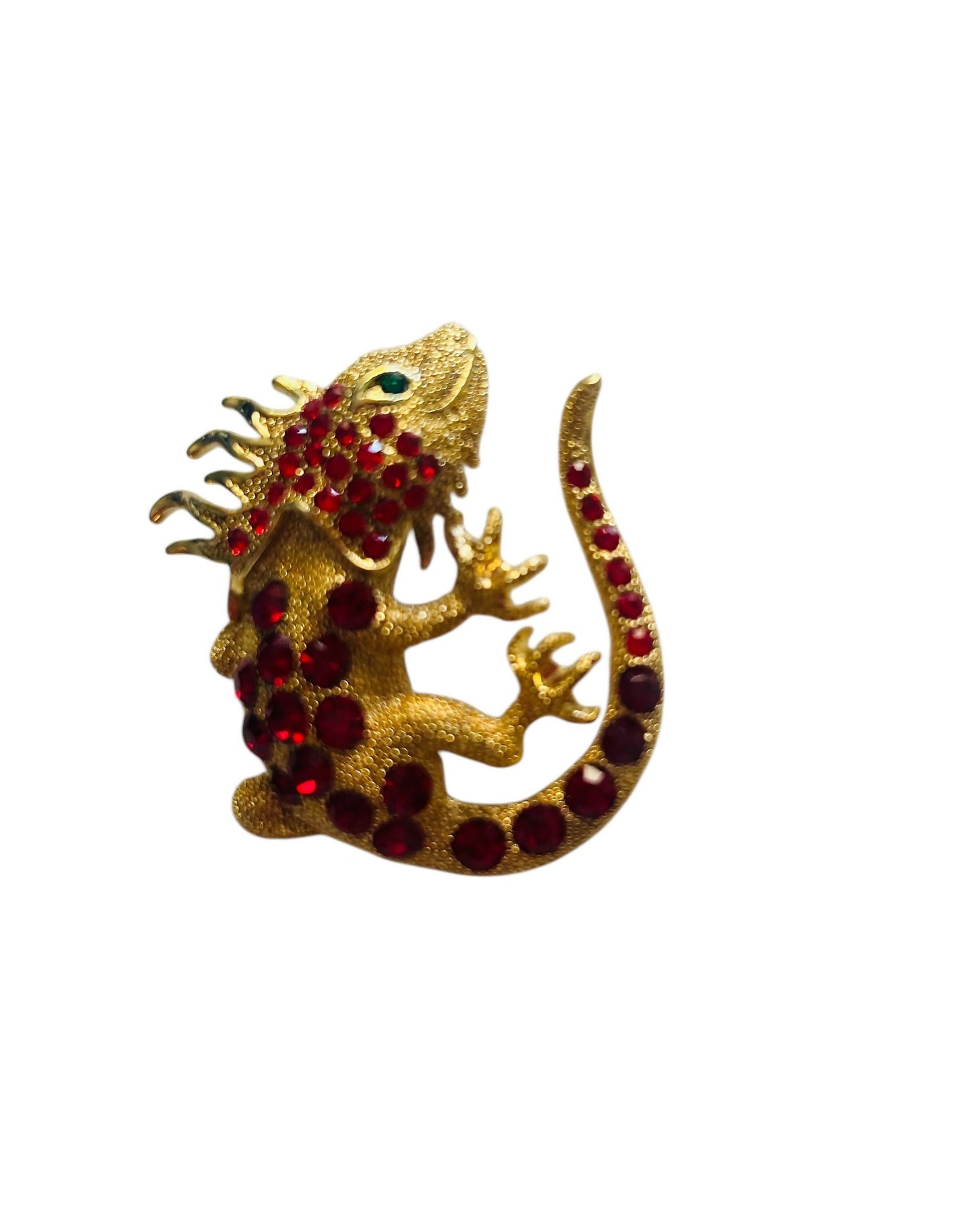 lizard2