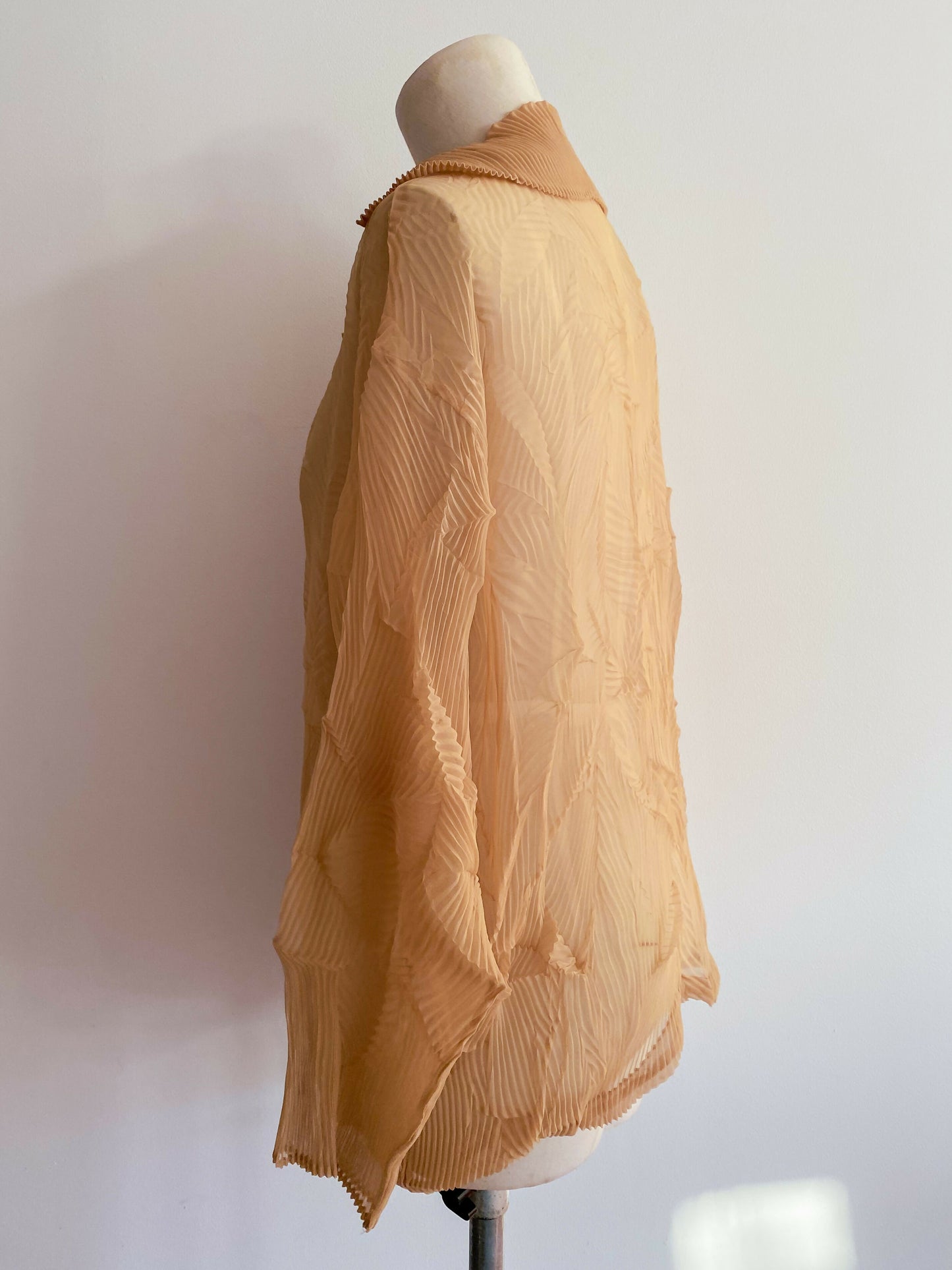 Free Size Crinkled Caramel Crepe Blouse