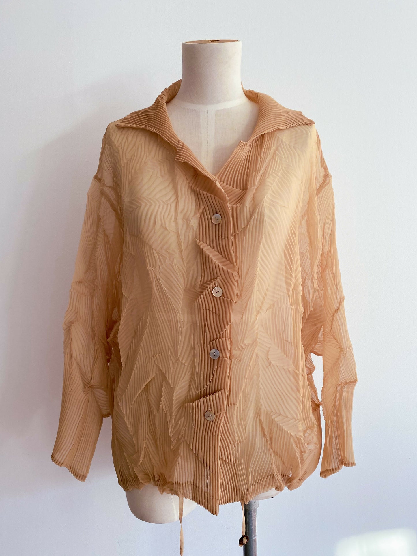 Free Size Crinkled Caramel Crepe Blouse