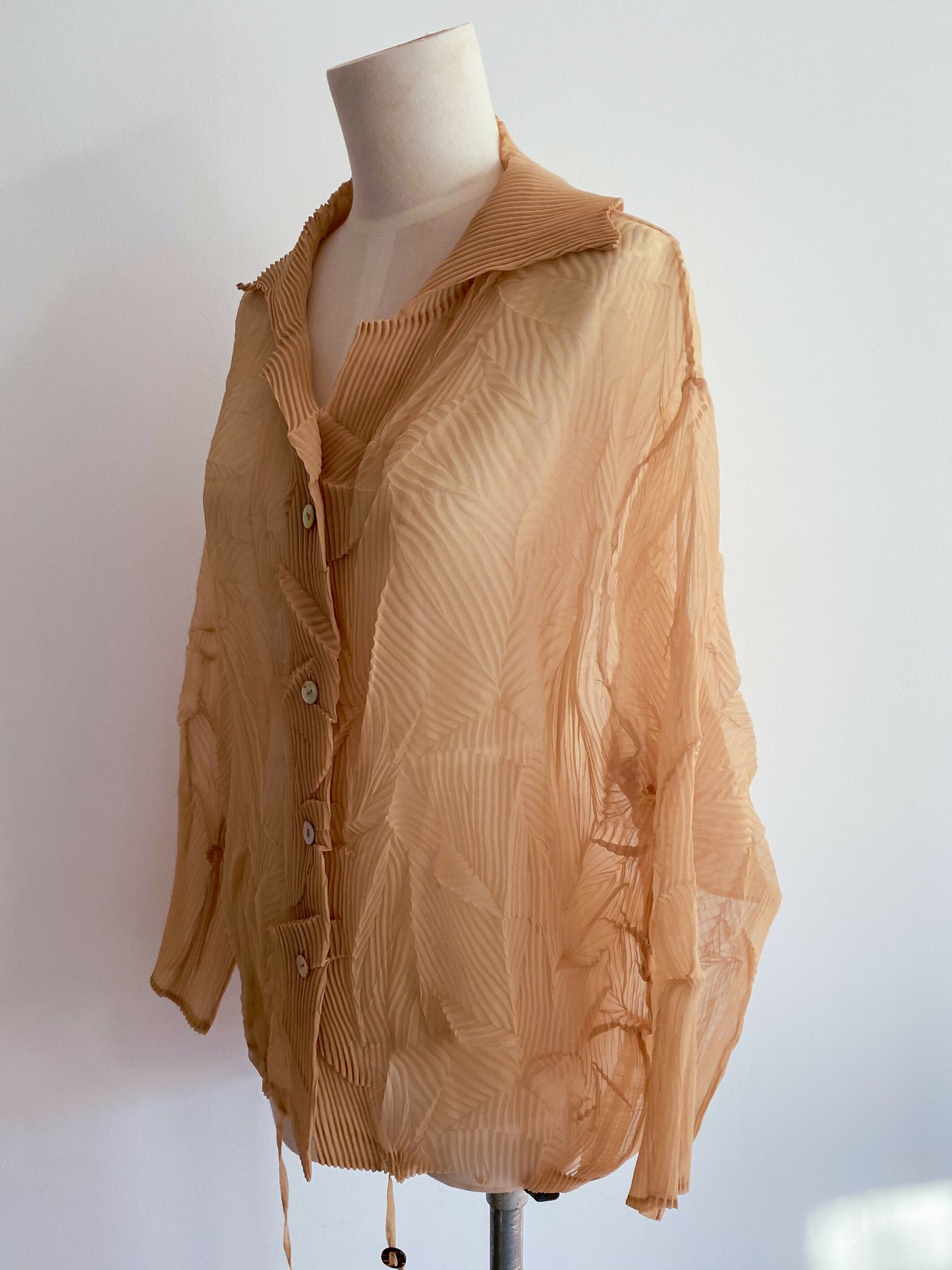 Free Size Crinkled Caramel Crepe Blouse