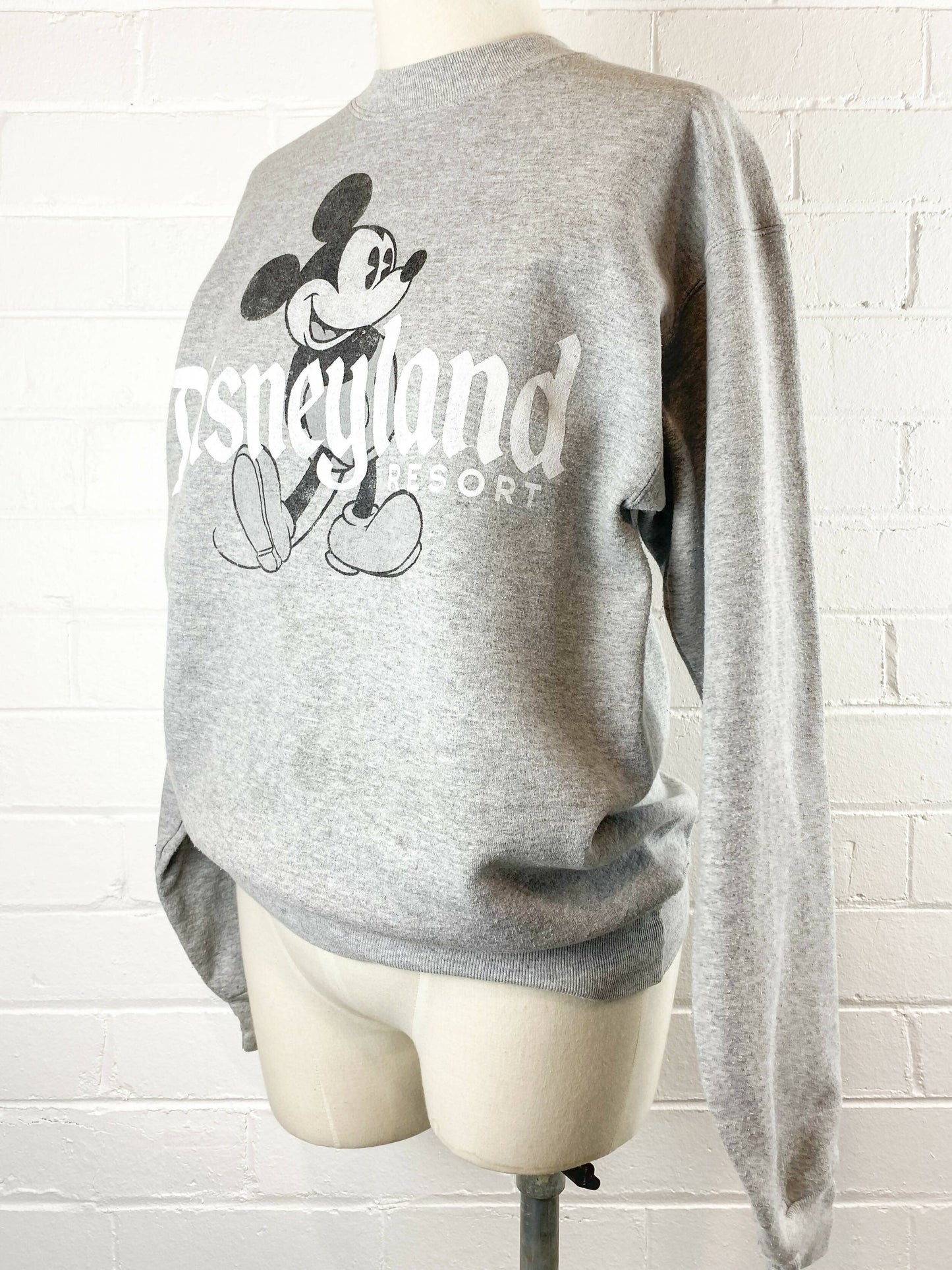 Disneyland x Haynes Size S Printed Sweatshirt